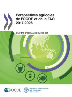 Cover of the book Perspectives agricoles de l'OCDE et de la FAO 2017-2026 by Collectif