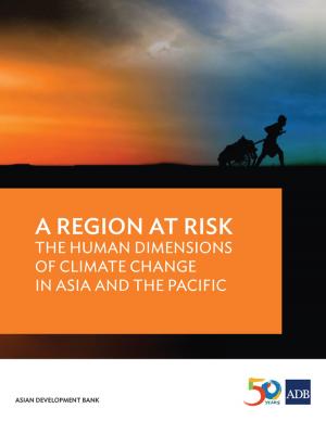 Cover of the book A Region at Risk by Manoj Sharma, Melissa Howell Alipalo