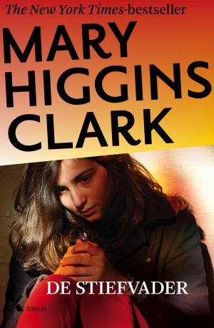 Cover of the book De stiefvader by Mary Higgins Clark, Alifair Burke