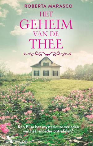 Cover of the book Het geheim van de thee by Olga Hoekstra