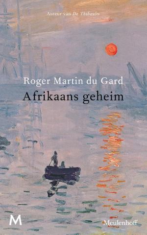 Cover of the book Afrikaans geheim by Duncan Falconer