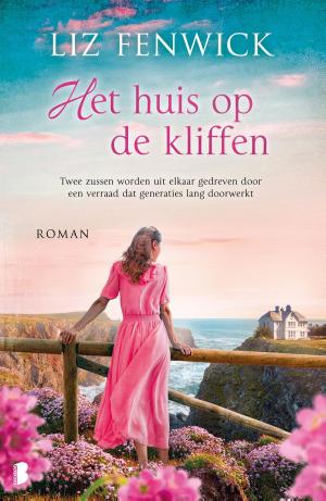 Cover of the book Het huis op de kliffen by Floris Don, Mischa Spel