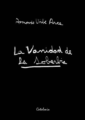 Cover of the book La vanidad de la soberbia by Pedro Cayuqueo