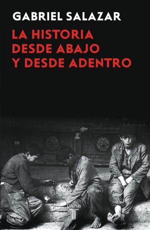 Cover of the book La historia desde abajo y desde adentro by Maria Olivia Monckeberg