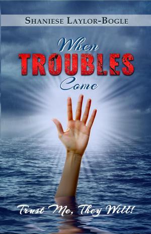 Cover of the book When TROUBLES Come... Trust Me, They Will! by Leila Merriman