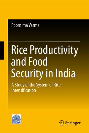bigCover of the book Rice Productivity and Food Security in India by 