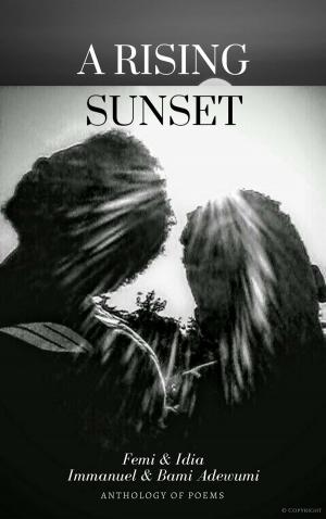 Cover of the book A Rising Sunset by Ralph-Michael Chiaia