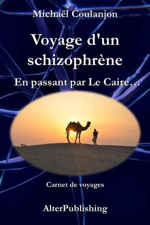 Cover of the book Voyage d'un schizophrène - En passant par Le Caire by Jacqueline Duvary