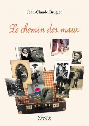 Cover of the book Le chemin des maux by Lisa Byrd