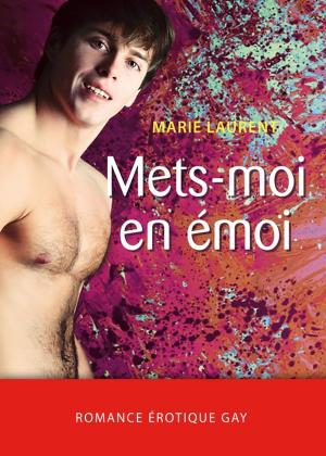 Cover of the book Mets-moi en émoi by Pierre Dubreuil
