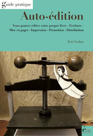 Cover of the book Auto-édition by Laurent Auduc, Mousse Boulanger