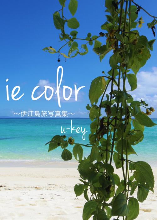 Cover of the book ie color by u-key, color.books