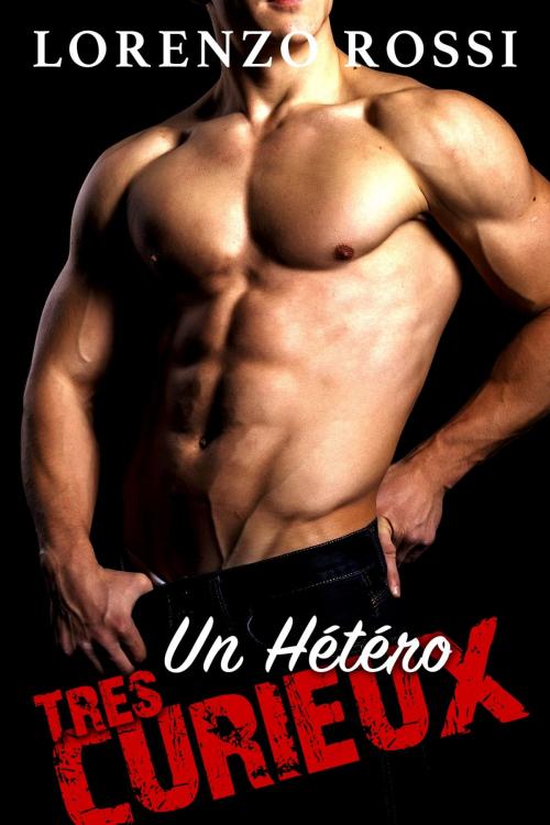 Cover of the book Un Hétéro très CURIEUX by Lorenzo Rossi, Lorenzo Rossi