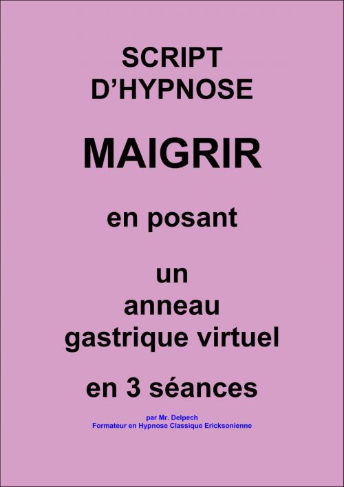 Cover of the book La pose de l'anneau gastrique virtuel by Jean-Marie Delpech-Thomas, Jean-Marie Delpech