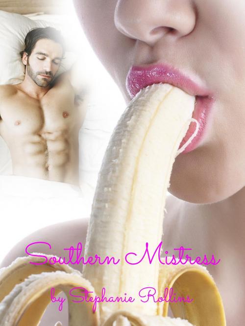 Cover of the book Southern Mistress by Stephanie Rollins, Excessica
