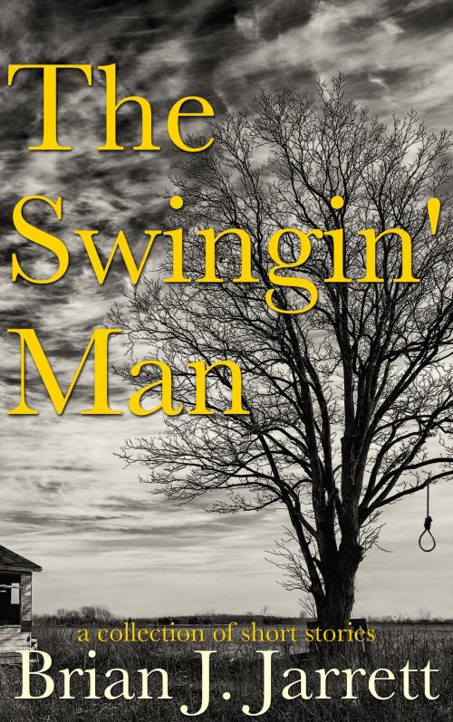 Cover of the book The Swingin' Man by Brian J. Jarrett, Elegy Publishing, LLC