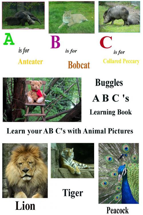 Cover of the book Buggles A B C Learning Book by Michael  Taven Hill, Taven Hill Studio