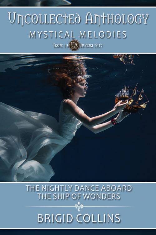 Cover of the book The Nightly Dance Aboard the Ship of Wonders by Brigid Collins, Frosty Owl Publishing