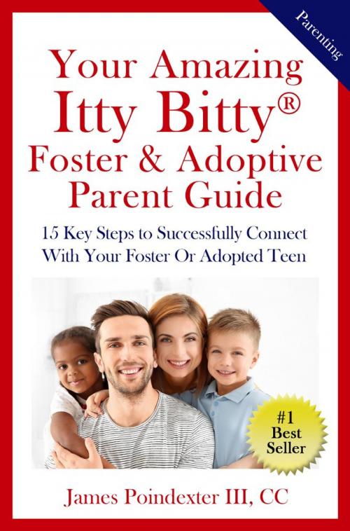 Cover of the book Your Amazing Itty Bitty® Foster & Adoptive Parent Guide by James Poindexter III, CC, S&P Productions