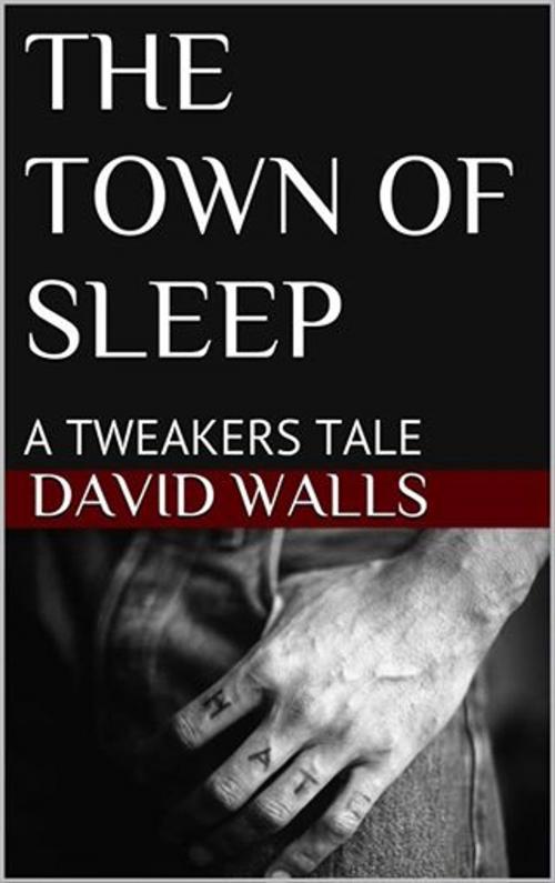 Cover of the book THE TOWN OF SLEEP by David Walls, David Walls