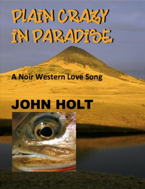Cover of the book Plain Crazy in Paradise by John Holt, Absolutely Amazing Ebooks