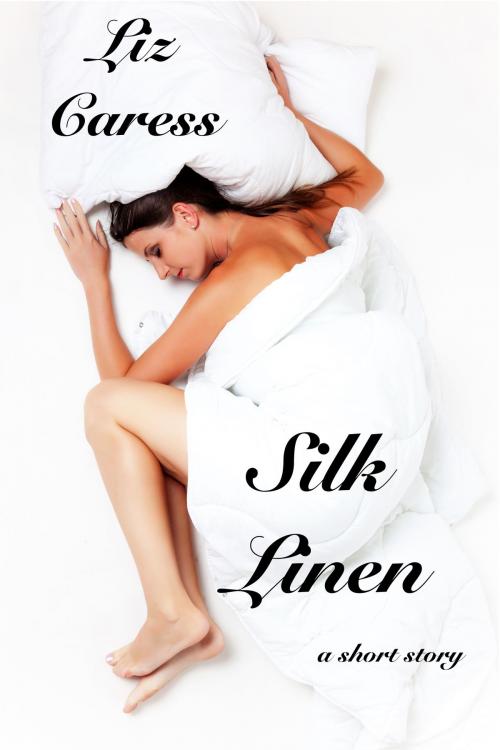 Cover of the book Silk Linen by Liz Caress, Allan John Wilson