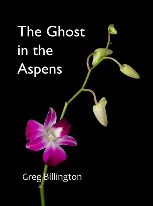 Cover of the book The Ghost in the Aspens by Greg Billington, Greg Billington