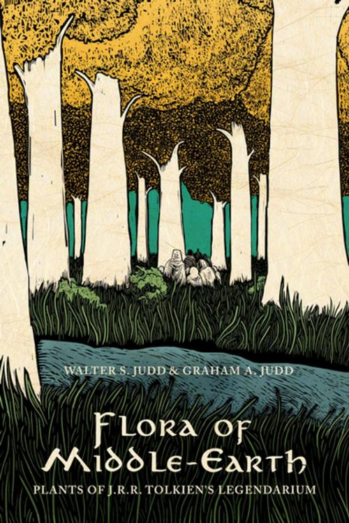 Cover of the book Flora of Middle-Earth by Walter S. Judd, Graham A. Judd, Oxford University Press