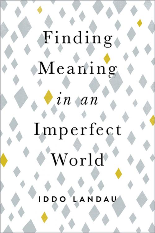 Cover of the book Finding Meaning in an Imperfect World by Iddo Landau, Oxford University Press