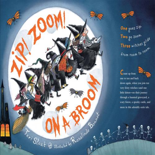 Cover of the book Zip! Zoom! On a Broom by Teri Sloat, Little, Brown Books for Young Readers