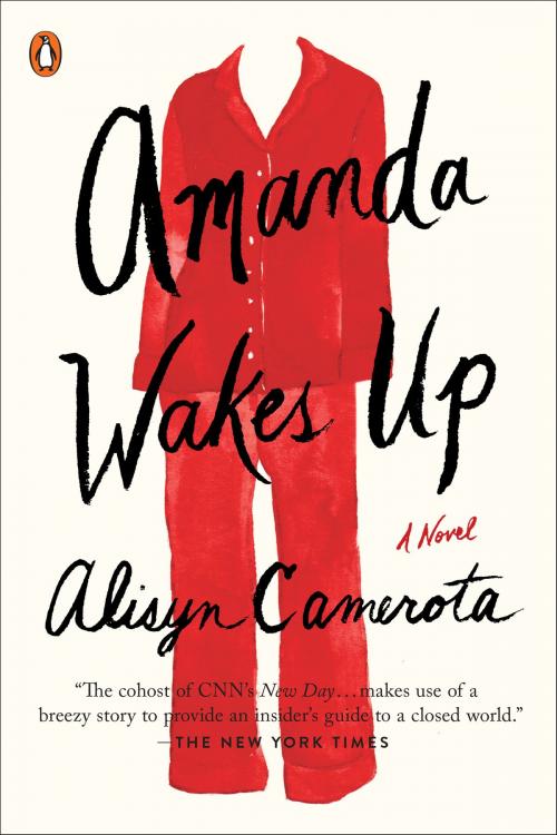 Cover of the book Amanda Wakes Up by Alisyn Camerota, Penguin Publishing Group