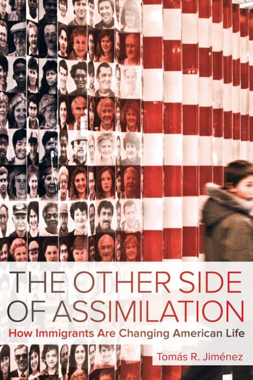 Cover of the book The Other Side of Assimilation by Tomas Jimenez, University of California Press