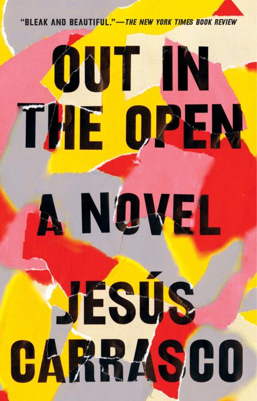 Cover of the book Out in the Open by Jesús Carrasco, Penguin Publishing Group