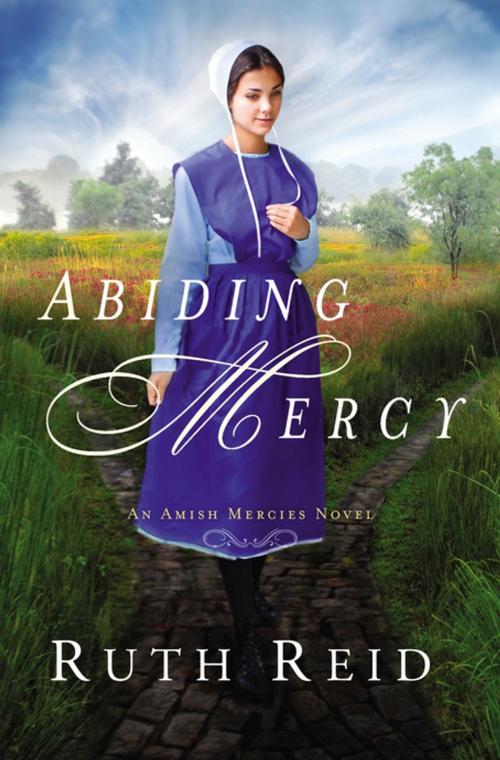 Cover of the book Abiding Mercy by Ruth Reid, Thomas Nelson