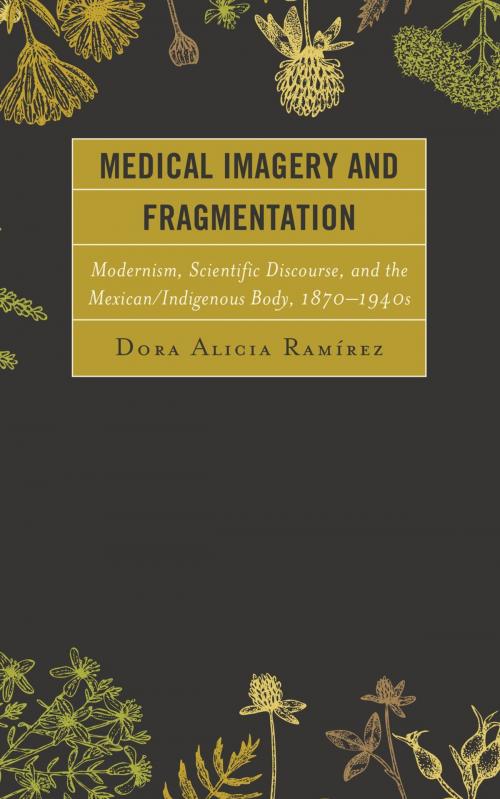 Cover of the book Medical Imagery and Fragmentation by Dora Alicia Ramírez, Lexington Books