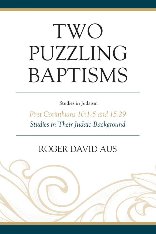 Cover of the book Two Puzzling Baptisms by Roger David Aus, Hamilton Books