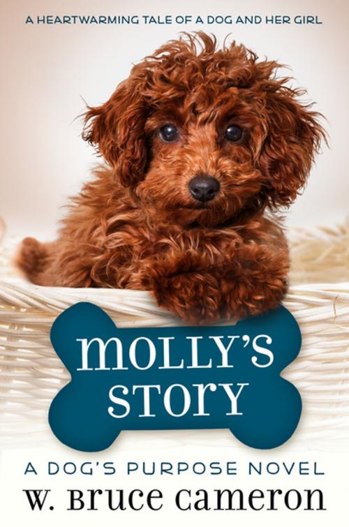 Cover of the book Molly's Story by W. Bruce Cameron, Tom Doherty Associates