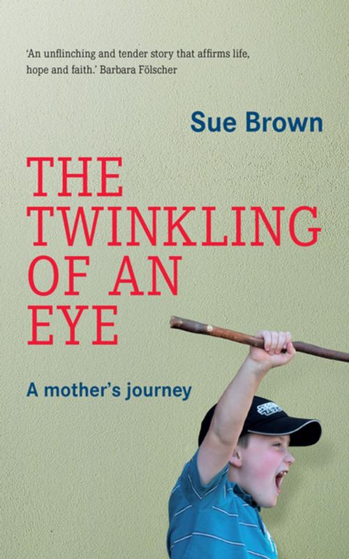 Cover of the book The Twinkling of an Eye by Sue Brown, Human & Rousseau