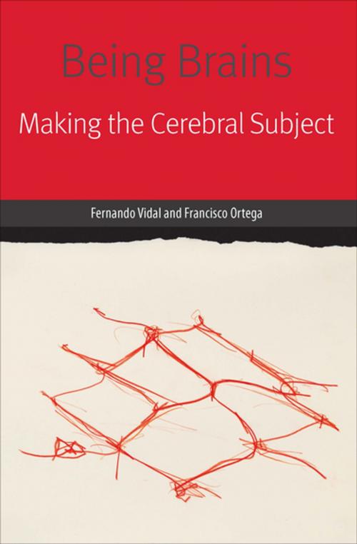 Cover of the book Being Brains by Fernando Vidal, Francisco Ortega, Fordham University Press