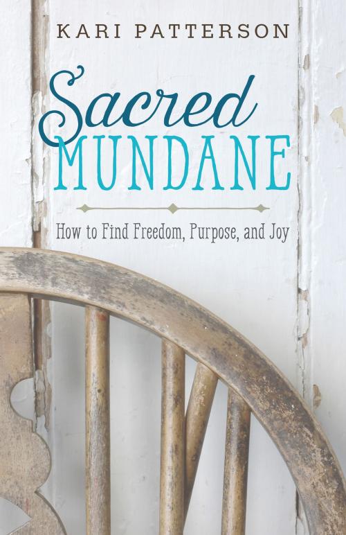 Cover of the book Sacred Mundane by Kari Patterson, Kregel Publications