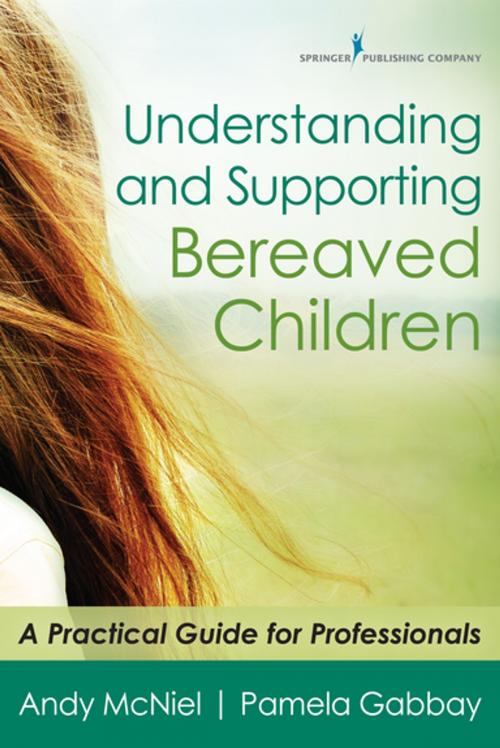 Cover of the book Understanding and Supporting Bereaved Children by Andy McNiel, M.A., Pamela Gabbay, EdD, FT, Springer Publishing Company