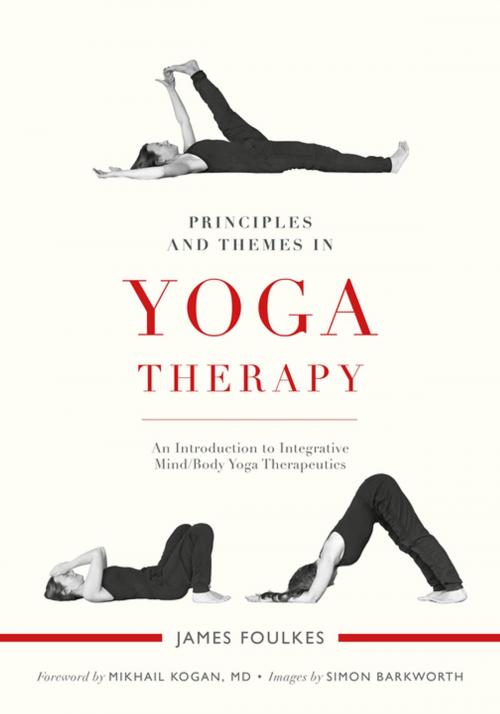 Cover of the book Principles and Themes in Yoga Therapy by James Foulkes, Simon Barkworth, Jessica Kingsley Publishers