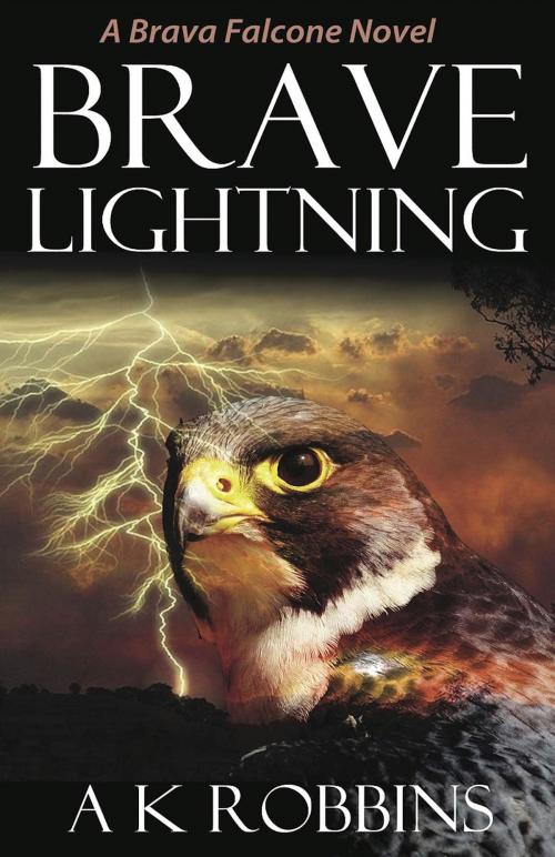 Cover of the book Brave Lightning by AK Robbins, Andrea K. Robbins, Inc. DBA BDI Publishers