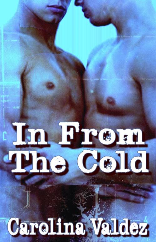 Cover of the book In From The Cold by Carolina Valdez, Carolina Valdez