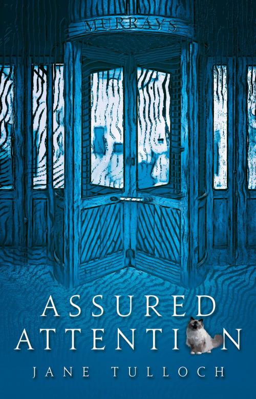 Cover of the book Assured Attention by Jane Tulloch, Jane Tulloch