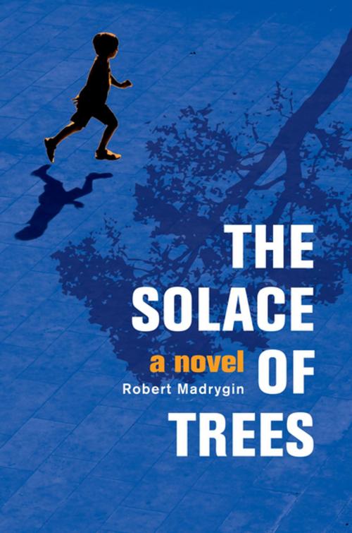 Cover of the book The Solace of Trees by Robert Madrygin, New Europe Books