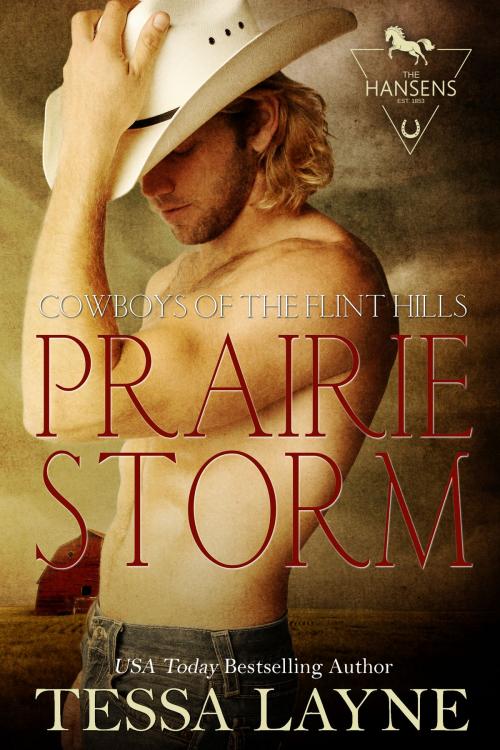 Cover of the book Prairie Storm by Tessa Layne, Shady Layne Media