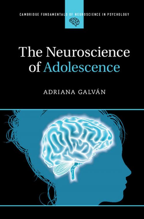 Cover of the book The Neuroscience of Adolescence by Adriana Galván, Cambridge University Press