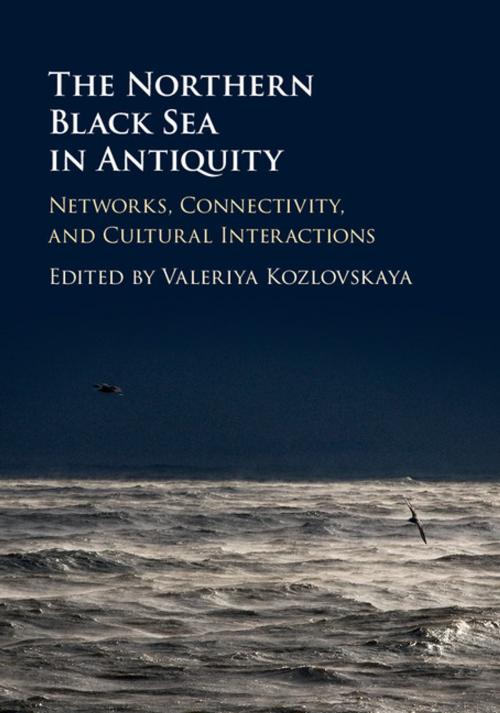 Cover of the book The Northern Black Sea in Antiquity by , Cambridge University Press