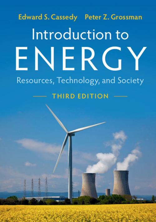 Cover of the book Introduction to Energy by Edward S. Cassedy, Peter Z. Grossman, Cambridge University Press